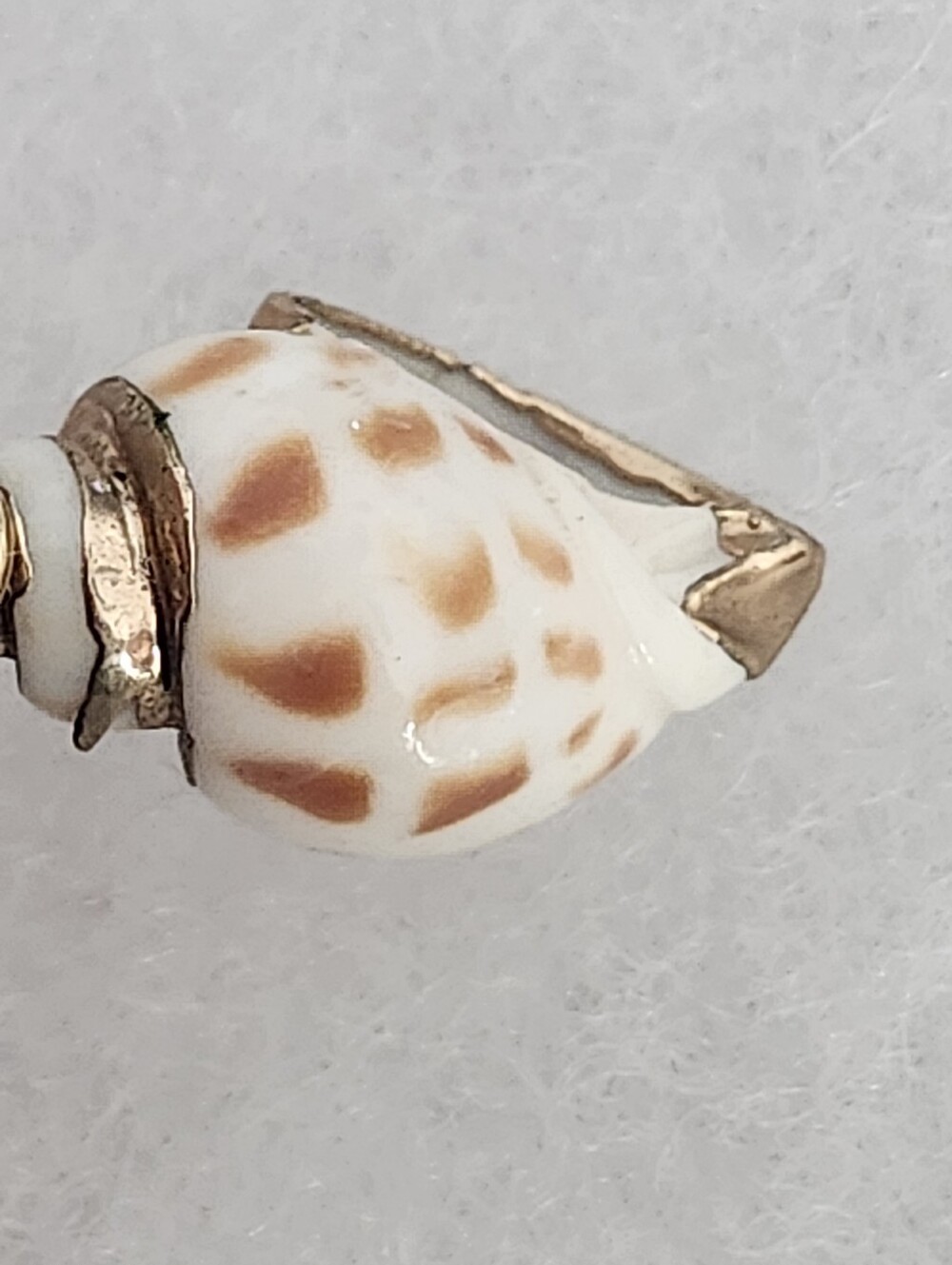 Seashell Pendant Brown & White With Gold Tone Trim & Bail - Picture 10 of 11
